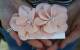 klipsy do butów ślubnych - różowy kwiat
